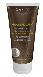 Balsam de par pentru stralucire, cu brusture si mesteacan - SANTE NATURKOSMETIK