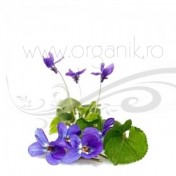 Extract de Violete, parfumant natural, 5 ml - Mayam