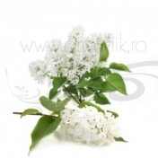 Parfumant natural Liliac Alb, 10 ml - Mayam