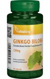 Extract de Ginkgo Biloba 120mg cu absorbtie indelungata, 60 cps - Vitaking